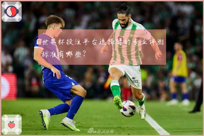 世界杯投注平台选择时的专业评测标准有哪些？